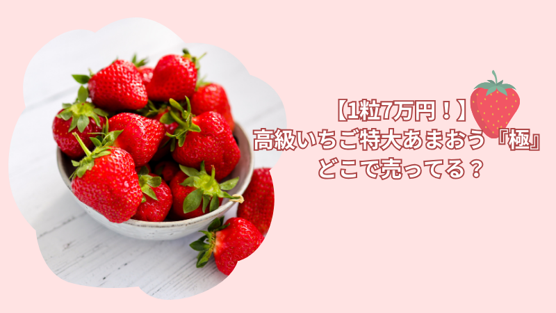 【1粒7万円！】1粒売りの高級いちご・特大あまおう『極』どこで売ってる？