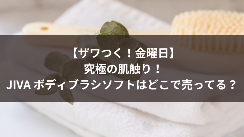 【ザワつく！金曜日】究極の肌触り！JIVA ボディブラシソフトはどこで売ってる？